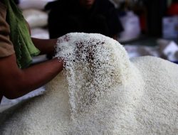 Harga Beras Terus Naik, Kadin Minta Evaluasi Penyaluran Program Pemerintah