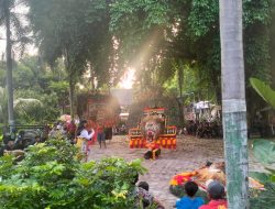 Lestarikan Budaya Reog dan Wayang Kulit , Komunitas Budaya Rengel Hibur Masyarakat jelang Buka Puasa