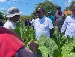 Respon Aspirasi Petani Tembakau, Kebijakan Bupati Fauzi Soal Penatausahaan Pembelian Tembakau Dipuji
