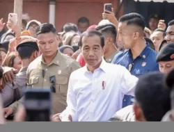 Presiden Jokowi Sebut Harga Telur dan Cabai Rawit Sangat Murah