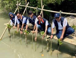 Konservasi Alam Berkelanjutan, Perumnas Tanam 70.000 Pohon Mangrove