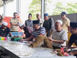 PR Bahagia Siap Beli 700 Ton Tembakau, HM Minta Petani Jaga Kualitas