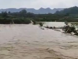 Banjir di Montorna Rendam Tanaman dan Rusak Infrastruktur