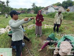 Poktan Padi Mas Sukses Kembangkan Budidaya Bawang Merah di Luar Musim Berkat Program Upland