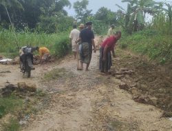 Gotong Royong Bangun Desa, Warga Montorna Perbaiki Jalan dengan Swadaya