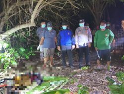 Mayat Mr X Ditemukan di Pesisir Pantai Sepanjang Sapeken