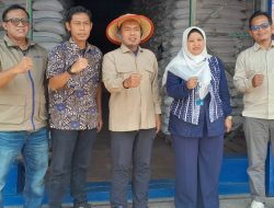 Riyono Caping, Anggota DPR RI Komisi IV Terus Dorong Bulog Serap Gabah dan Beras Petani