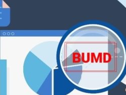 Tata Kelola BUMD: Antara Ambisi Pendapatan dan Kewajiban Pelayanan Publik