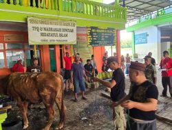 DPD PDI Perjuangan Jatim Salurkan Hewan Kurban ke Santri dan Anak Asuh Hidayatul Islam Probolinggo