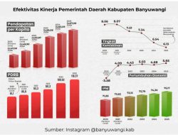 Manajemen Berbasis Kinerja dan Transformasi Pelayanan Publik: Belajar dari Smart Kampung Banyuwangi