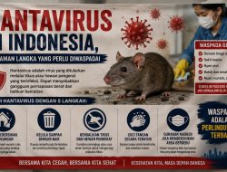 Hantavirus di Indonesia, Ancaman Langka yang Perlu Diwaspadai