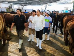 Pemkot Surabaya Perketat Pengawasan Hewan Kurban Jelang Idul Adha 2026
