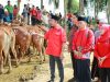 Said Abdullah Salurkan 298 Sapi Kurban untuk Warga Madura Jelang Iduladha 1447 H