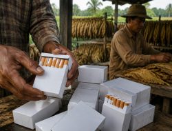 Kemasan Polos Rokok dan Masa Depan Petani Tembakau Jawa Timur