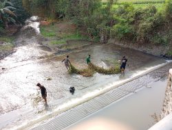 Peringati HUT ke-81 RI, Komunitas PENA HIJAU Gelar Aksi Bersih Sungai di Pakuniran Probolinggo